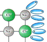 Ориентация молекул воды вокруг противоположно заряженных ионов электролита.